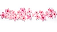 Pink flower pattern adhesive strip petal plant white background.