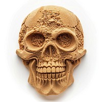 Sand Sculpture skull white background representation anthropology.