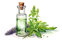 Homeopathy herb bottle herbs plant.