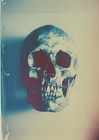 A polaroid photo of skull portrait art representation.