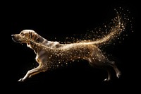 Dog running sparkle light glitter animal mammal pet.