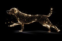 Dog running sparkle light glitter animal mammal black.