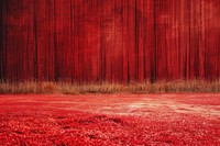 Empty red feild stage backgrounds plant tranquility.