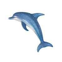 Blue dolphin icon animal mammal fish.
