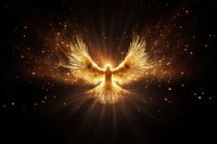 Phoenix bird flying sparkle light fireworks outdoors angel.