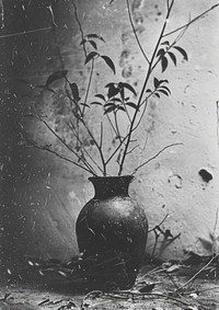 Vase plant monochrome cookware.