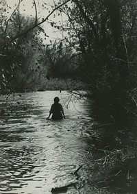 Woman go on an adventure swim surrounded by water outdoors swimming nature.