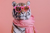 Tiger glasses sunglasses portrait.