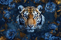 Tiger backgrounds wildlife animal.