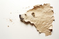 Torn strip of capybara paper animal mammal wildlife.