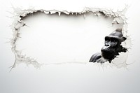 Torn strip of gorilla paper creativity monochrome darkness.