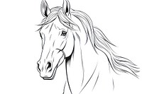 Horse sketch drawing animal.