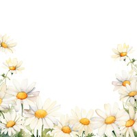 Daisy border backgrounds pattern flower.