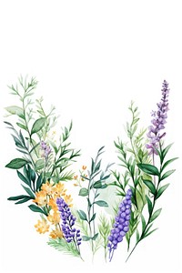 Herbs border lavender pattern flower.