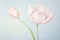Painting of tulip flower plant rose.