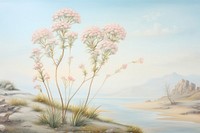 Painting of yarrow flower plant tranquility.