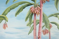 Painting of banana tree backgrounds outdoors nature.