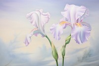 Painting of iris blossom flower petal.