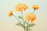 Painting of marigold flower plant petal.
