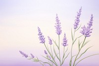 Painting of super close-up lavender backgrounds blossom flower.
