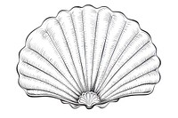 Seashell sketch clam white background.