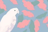 Cockatoo backgrounds parrot animal.