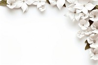 White floral border flower backgrounds pattern.