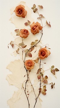 Real pressed climbing roses flower plant petal.