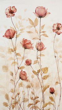 Real pressed climbing roses flower painting pattern.