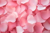 Rose petals gradient background backgrounds abstract flower.