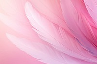 Wing feathers gradient background backgrounds abstract petal.