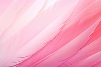 Wing feathers gradient background backgrounds abstract pink.