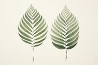 Litograph minimal leaves drawing sketch plant.
