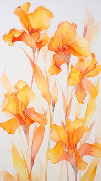 Pressed canna lilies wallpaper flower backgrounds gladiolus.