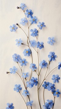 Pressed forget me not flowers blossom plant petal.
