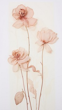 Real pressed pastel rose flowers drawing sketch petal.