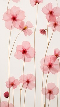 Pressed pink flowers wallpaper petal plant red.