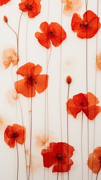 Pressed red flowers wallpaper backgrounds poppy petal.