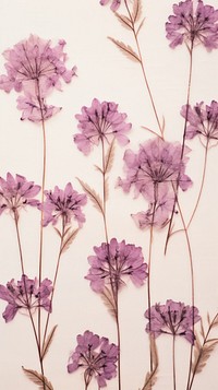 Pressed verbena flowers wallpaper backgrounds lavender pattern.