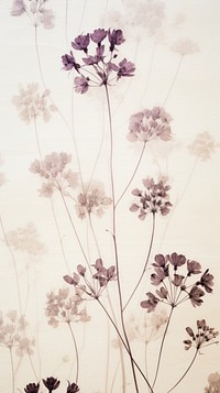 Pressed verbena flowers wallpaper backgrounds pattern nature.