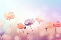 Flower bouquet background backgrounds outdoors blossom.