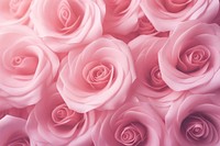 Rose background backgrounds flower petal.