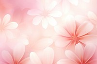 White flower gradient background backgrounds abstract blossom.