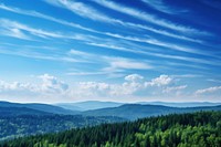 Photo of beautiful blue sky forest tree landscape.