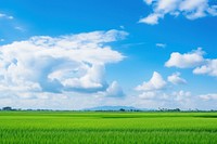 Photo of beautiful blue sky field outdoors horizon.