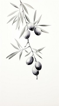 Ink painting minimal of olive drawing sketch plant.