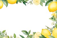 PNG Lemon fruits border watercolor backgrounds grapefruit plant.