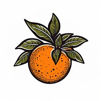 An orange grapefruit plant food.