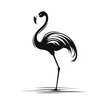 Flamingo animal bird logo.