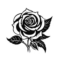 Rose drawing flower sketch.